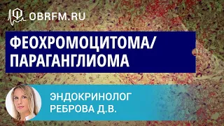 Эндокринолог Реброва Д.В.: Феохромоцитома/параганглиома