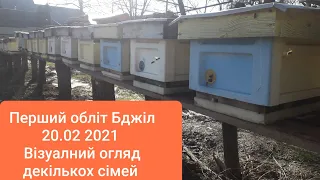 Перший обліт 20.02.2021. Утеплення сімей. Візуальний огляд декількох сімей.