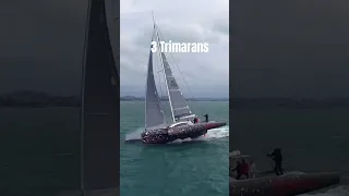3 Sailing Trimarans. Are 3 Hulls Better than 2? Rapido, Neel, Dragonfly.