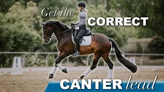 Why does my Horse Pick up the Wrong Canter Lead?