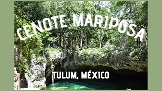 Visitando CENOTE MARIPOSA | TULUM, MÉXICO [VLOG MOW]