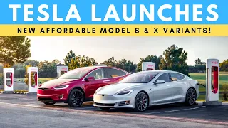 Tesla Launches 2 New Affordable Variants & More Updates!