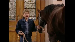 Full House - A horse in the living room