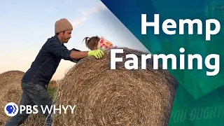 Hemp Farming - You Oughta Know (2020)