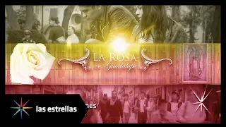 La Rosa de Guadalupe: Doble capítulo por día | Este lunes 7:30 y 8:30 PM #ConLasEstrellas