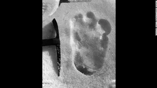 Yeti PROOF? Indian army finds mysterious footprints in snow of the Himalayas – shock claim