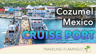 🇲🇽 Cozumel Mexico Cruise Port 🛳 | What To Do In COZMEL!