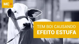 FLATULÊNCIA BOVINA E O AQUECIMENTO GLOBAL