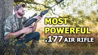 Most Powerful .177 Air Rifle in the Market 2021