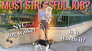 Day in the Life of a Dog Walker | NYC