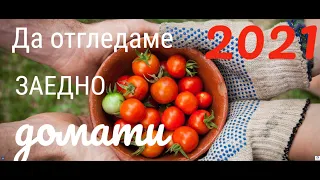 Обеззаразяване и стимулиране на семената