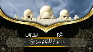 سورة الصافات القارئ ياسر الزيلعي