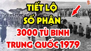 Công Khai Sự Thật Động Trời Trong Cuộc Chiến Biên Giới 1979, Việt Nam Đã Làm Gì Với 3000 Tù Binh TQ