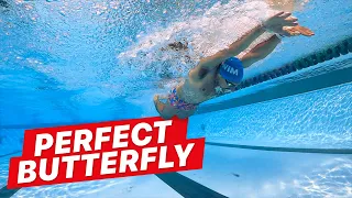 How to Swim Butterfly with Perfect Technique