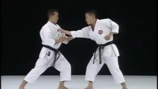 Jitte   Shito Ryu Karate Do Kata & Bunkai