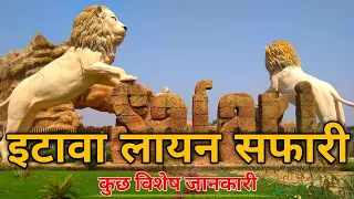 Lion Safari Etawah | Lion Safari 2023 | Lion Safari | Etawah | Etawah park | Etawah vlog #lionsafari