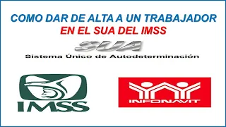 Como dar de Alta a un trabajador en el SUA del IMSS 2024