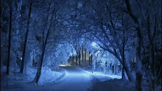 Стихи о жизни | Зимний лес