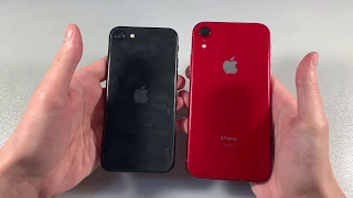 Сравнение iPhone SE 2020 vs iPhone XR