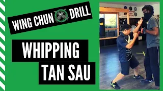 How to simultaneously block & attack against a larger opponent (Whipping Tan Sau) - Wing Chun Drill