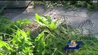 Beech Grove Cemetery's poor condition sparks outrage