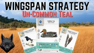 Wingspan Strategy: UN-Common Teal