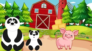 Wir lernen gemeinsam etwas über Panda und Schwein! 🐼🐖 #lernen  #animation  #deutsch  #kinder