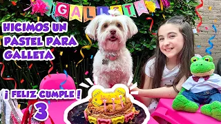 PASTEL DE CUMPLE PARA MI PERRITA GALLETA #laracampos