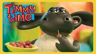 Timmy's Treasure Trail 🧭🗺️ | Timmy Time