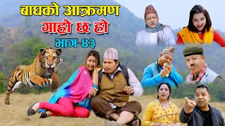 बाघको आक्रमण II Garo Chha Ho II Episode : 43 II April 21, 2021 II Begam Nepali II Riyasha Dahal