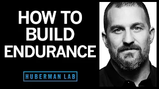 How To Build Endurance In Your Brain & Body | Huberman Lab Podcast #23