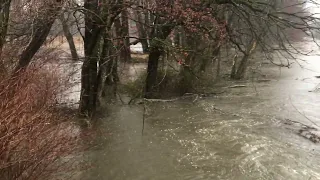 Mill Creek during rain storm at Green Lane Ghost forest (3-23-24)