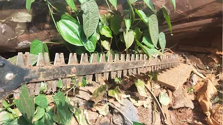 DIY Homemade  hedge trimmer attachment ll Chế máy cắt cỏ