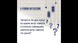 Читается ли дуа кунут во время витр-намаза и сколько совершать ракятов витр намаза, по сунне?