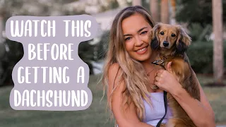 Owning a Dachshund: THE PROS AND CONS