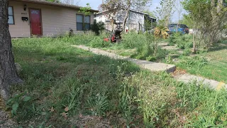 Neighbor was surprised I cut this yard for FREE | Free front yard clean up | Oddly Satisfying