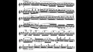 Sarasate - Peteneras