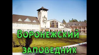 Воронежский заповедник [Voronezh Reserve]