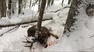 Mule Deer Rut Hunt Deep Snow GoPro Hero 6! - Stuck N the Rut 103