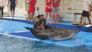 Посетили Анталийский Дельфинарий.