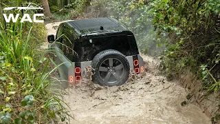 Supercar Range Rover OFF ROAD in Swamp -  2022 Range Rover | Wacar