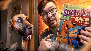 ЗАКАЗАЛИ РЕАЛЬНОГО СКУБИ-ДУ В 3:00 НОЧИ ! УКУСИЛА МЕНЯ ! Scooby-doo ! Потусторонние