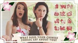 What Does Your Chinese Zodiac Say About You? // Malaysia Travel Vlog