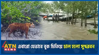 এবারো যেভাবে ঘূর্ণিঝড়ে বুক চিতিয়ে ঢাল হলো সুন্দরবন | Sundarbans | Super Cyclone Remal | ATN News