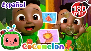 Adivina el animal ?!! |  CoComelon - Juega con Cody | Canciones Infantiles | Caricaturas en Español