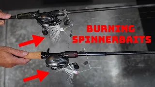 Breaking Down Why Burning Spinnerbaits Can Catch You More Fish This Fall!