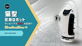 近未来猫型ロボット-BellaBot-