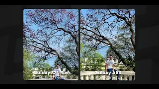 Samsung  Galaxy S22 Plus vs A53 camera comparison #trending