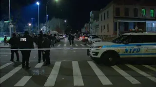 Man who slashed woman, dog with machete fatally shot by police in Brooklyn