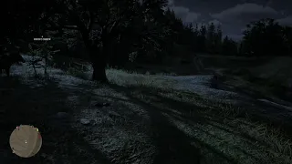 Rdr2 - Fame seeker stole my horse